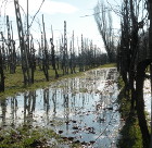 Campagna di Granarolo dell'Emilia