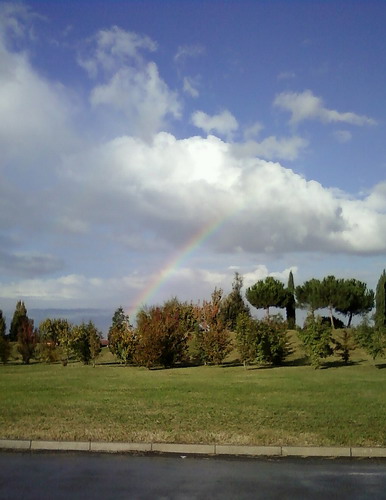 08/11/2010 - Foto di Paola Galloro scattata a Castel San Pietro Terme