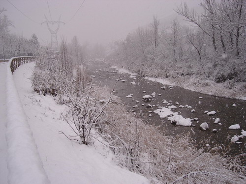 Pista ciclabile alla Noce di Mercatale (Ozzano Emilia), lungo il fiume idice. Ricoperta di neve in tre ore - Foto di Massimo Fiorini, scattata il 7 gennaio 2009