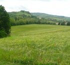 Colline di Monteveglio