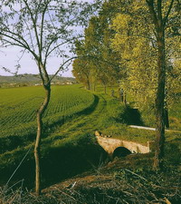 Colline di Ozzano dal treno