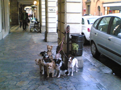 09/12/2009 - Foto scattata a Bologna in via Castiglione, Galleria 2 Agosto 1980, da Rosanna Puttini