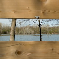 Uno sguardo alla Bora, area di riequilibrio ecologico di San Giovanni in Persiceto