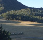 Campagna di Lizzano in Belvedere