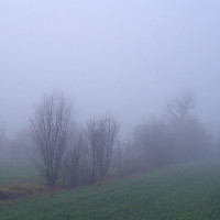 Campagna bolognese