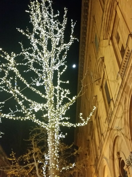 22/12/2015 - Piazza Calderini a Bologna. Foto di Cristina Mazzoli