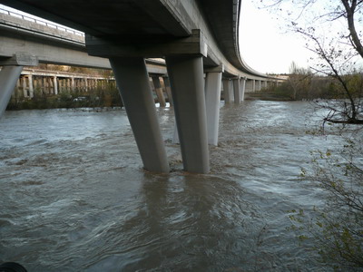 Il fiume Reno sotto il ponte dell'autostrada a Sasso Marconi. Foto di Daniele Magagni scattata il 1 dicembre 2008