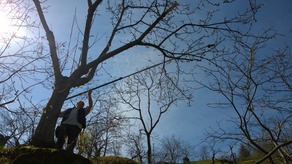 13/04/2015 - Monzuno: ultime potature nel castagneto prima del risveglio primaverile. Foto: Tommaso Fulgaro