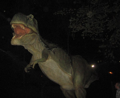 09/10/2012 - Sauronotte: T-Rex al museo Donini di San Lazzaro. Foto di Simona Serafini 