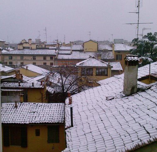 27/01/2010 - Tetti di via San Felice. Foto scattata da Gianluca Bortolini