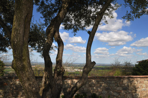 30/03/2012 - Monteveglio con vista sulla pianura. Foto: Salvatore Morelli