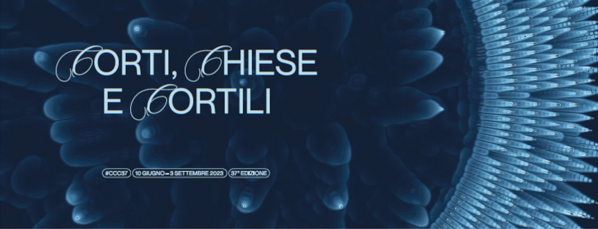 Logo dell'iniziativa 