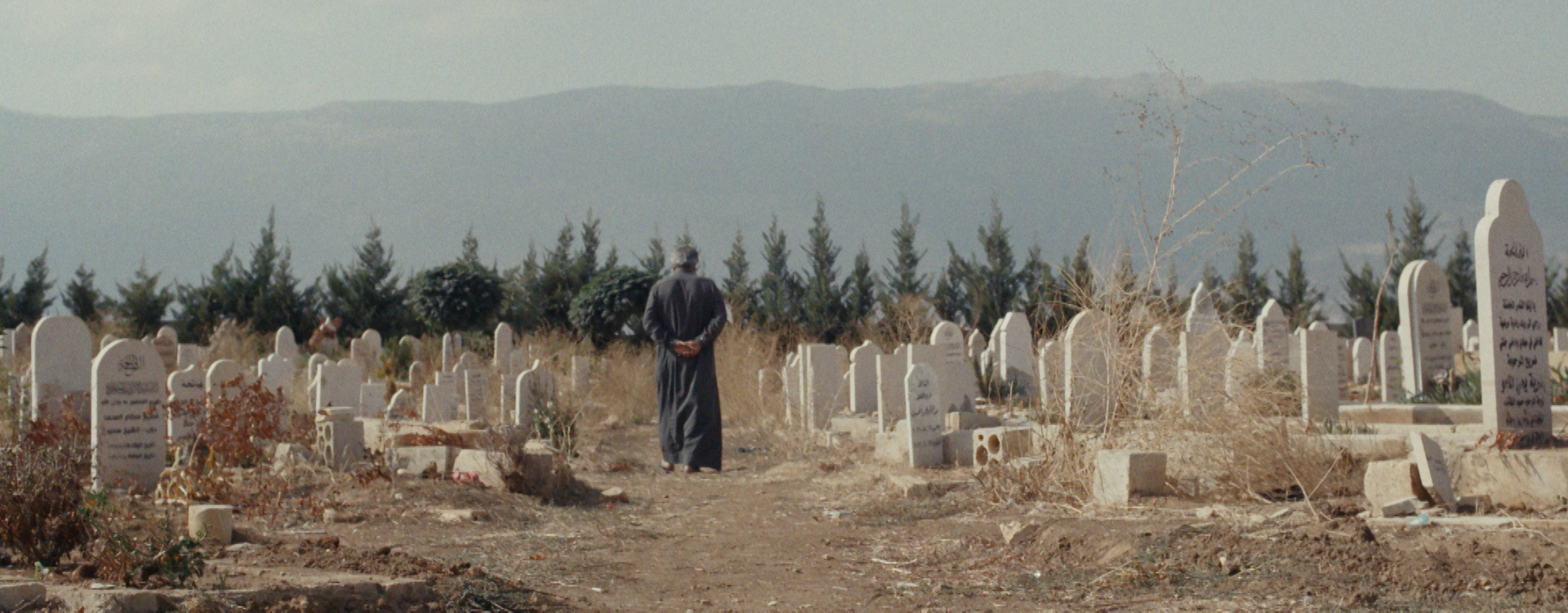 Immagine di uno dei film di Mente Locale 