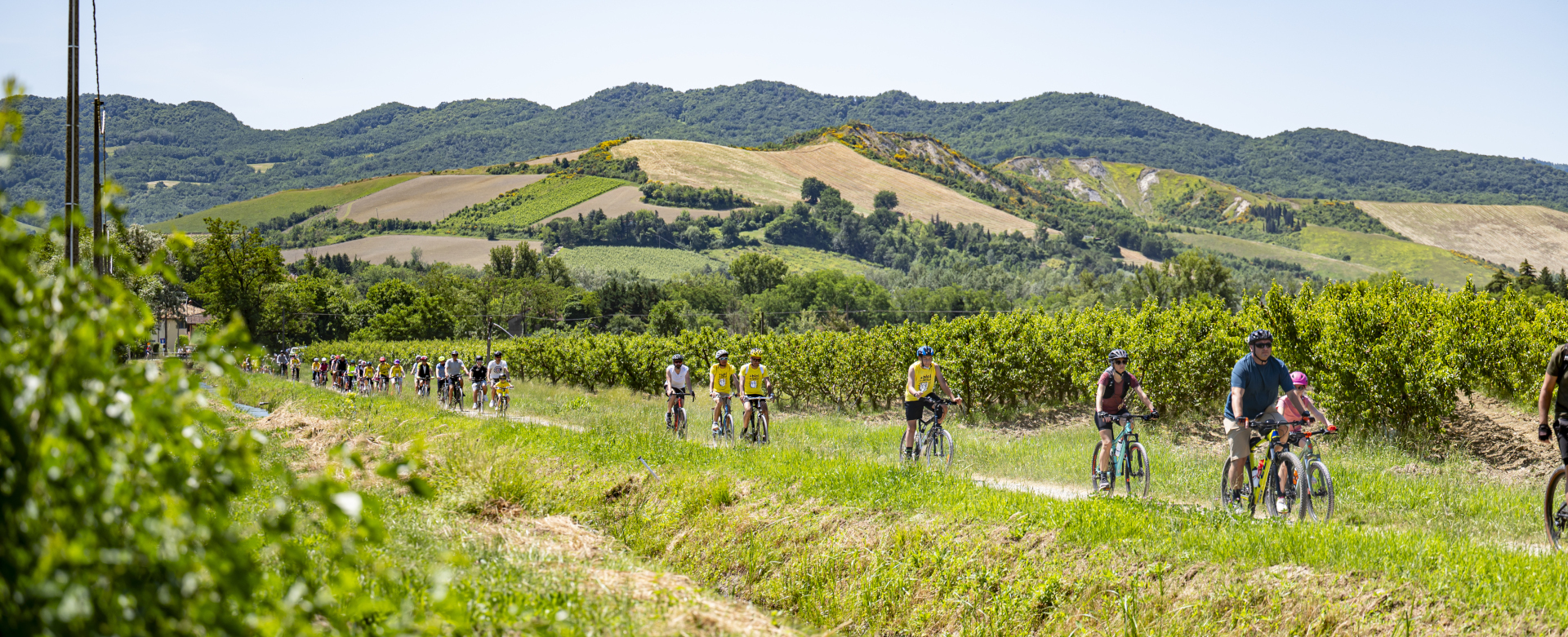 Ciclisti lungo la Valle del Santerno