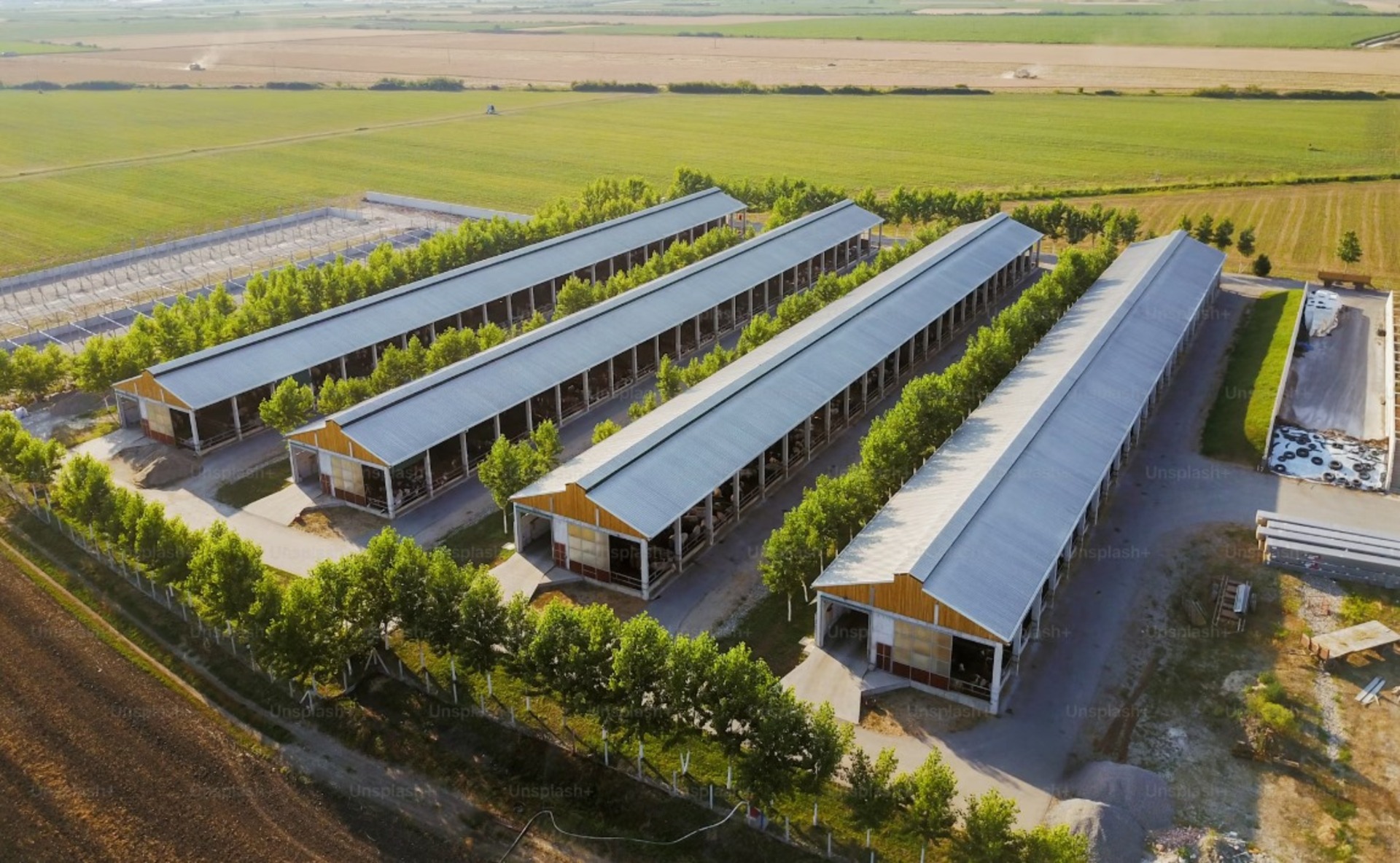 Agrifotovoltaico in Emilia-Romagna