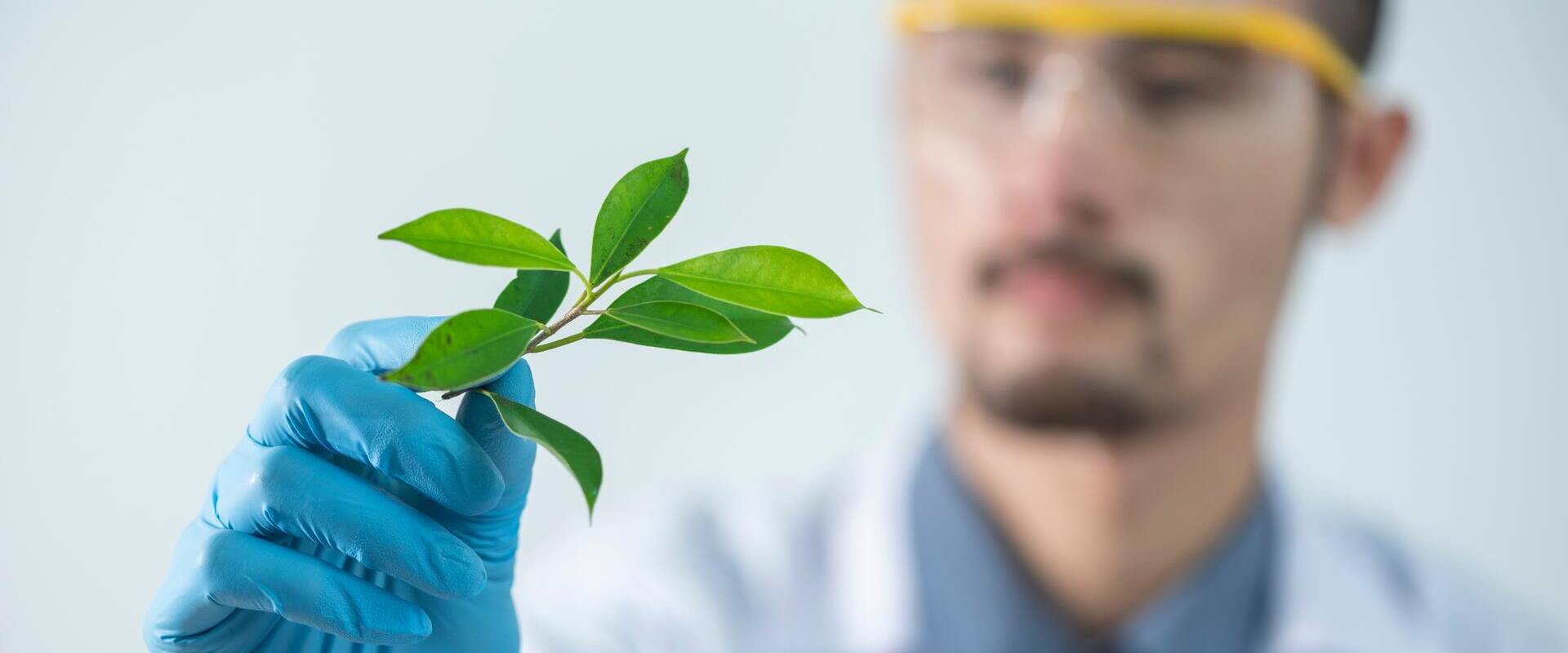 Innovazione per l'agricoltura. Imprese agricole, ricerca, formazione e consulenza a confronto