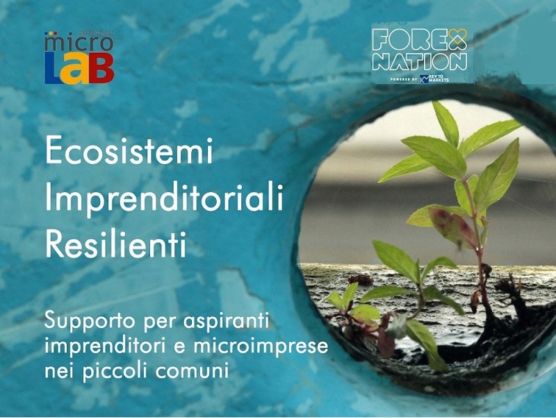 Ecosistemi imprenditoriali resilienti: un ciclo di formazione e mentoring gratuito