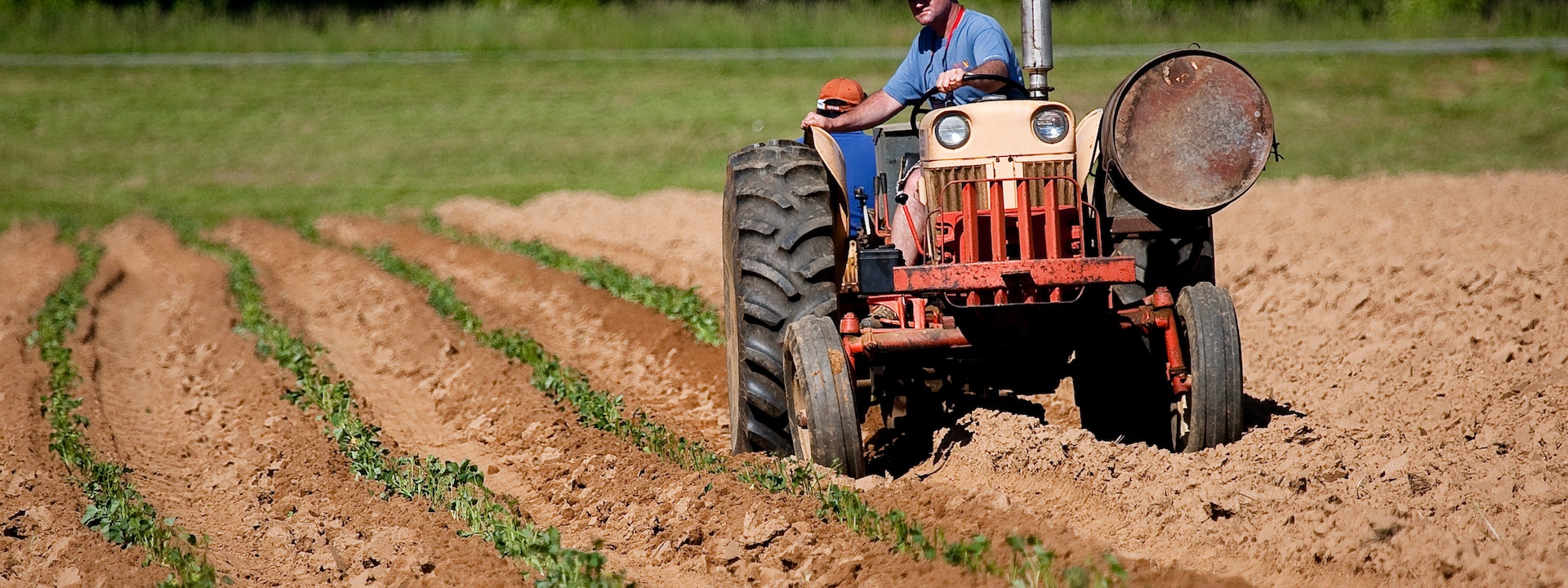 Corsi gratuiti su logistica e agroalimentare