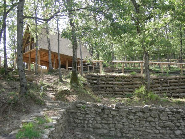 immagine di corredo