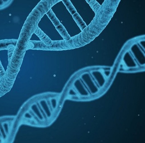 La scoperta del DNA compie 70 anni: scienza per la scuola