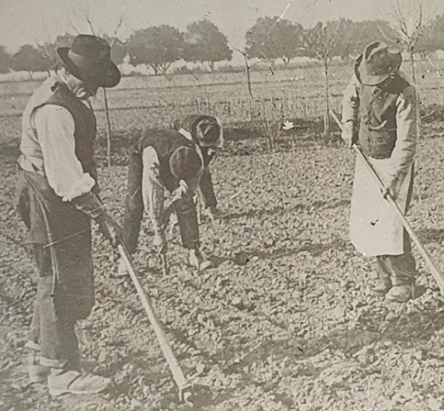 Le immagini del sapere: le diapositive della Cattedra Ambulante di Agricoltura