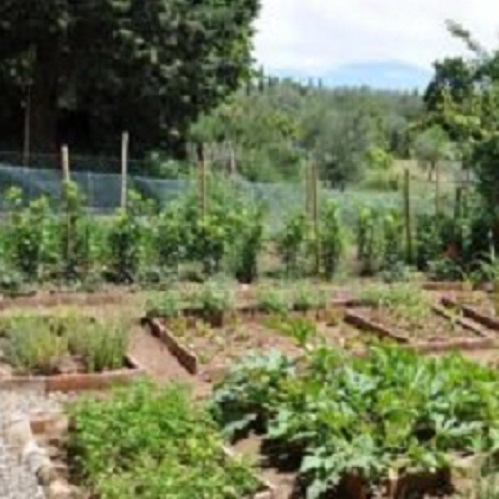 Think4Food - Bando per startup, ricercatori e studenti