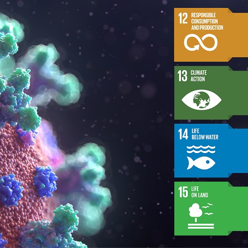 COVID-19: Quattro obiettivi di sviluppo sostenibile che aiutano la ripresa globale