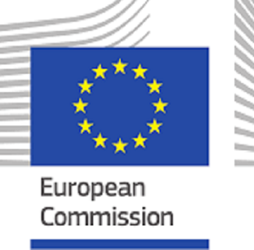 Relazione annuale della Commissione Europea su Istruzione e Formazione: competenze di base e digitali essenziali per l'istruzione, il lavoro e la vita