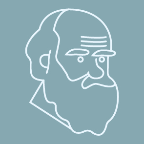 #4 - Il viaggio della vita