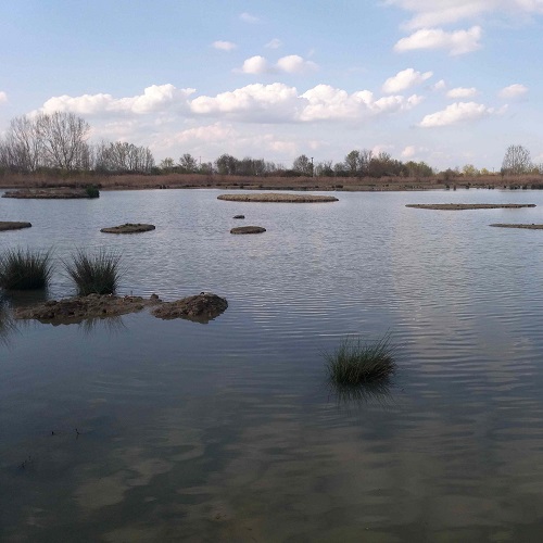 Bentivoglio, l'Oasi La Rizza si arricchisce di nuovi percorsi e nuove strutture di visita