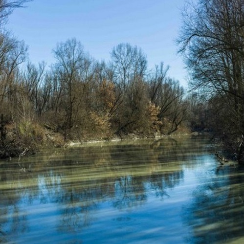 Rinasce la Golena San Vitale a Calderara di Reno - Tra gli interventi, un’area didattica sulla biodiversità