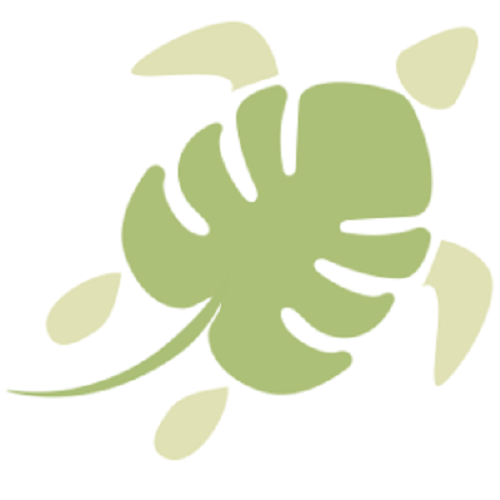 SLOW SCIENCE - #SCIENZAKM0