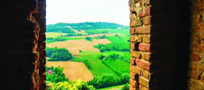 Escursioni e visite alle cantine