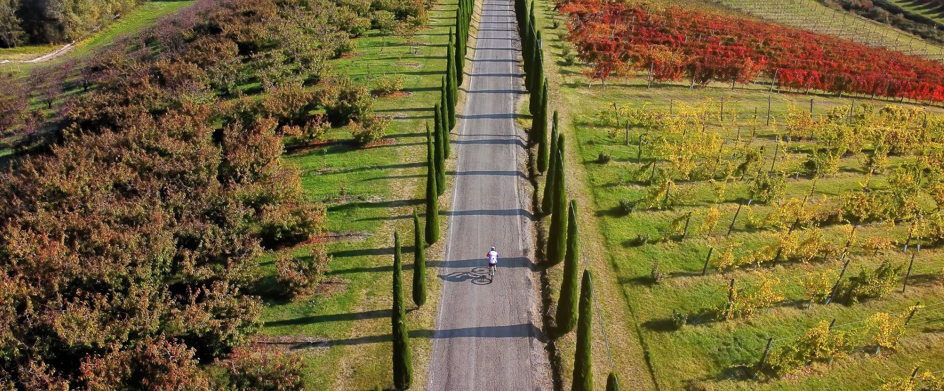 Pedalare e camminare nel territorio modenese - 25 itinerari a piedi e in bicicletta - Castelvetro