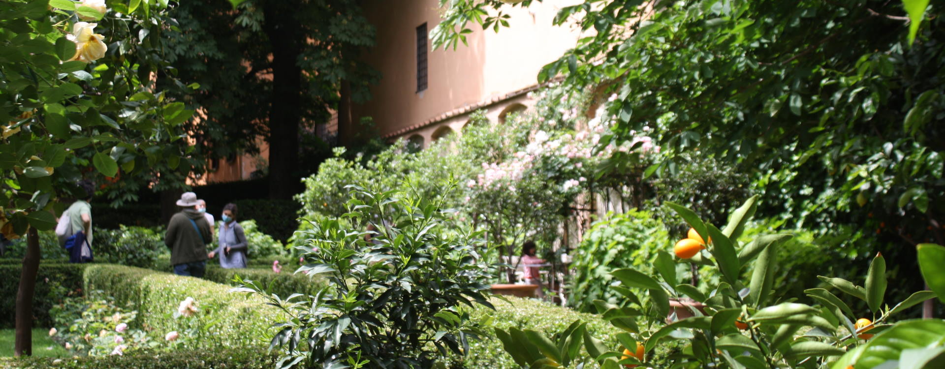 Diverdeinverde - foto di Margherita Palmieri