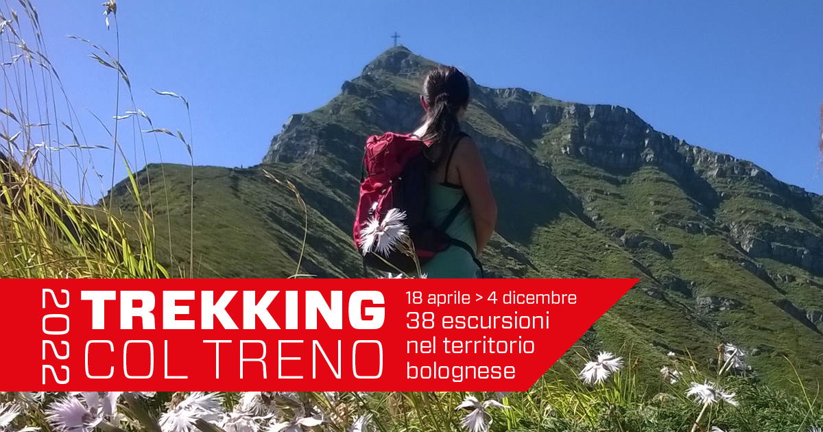 Trekking col treno