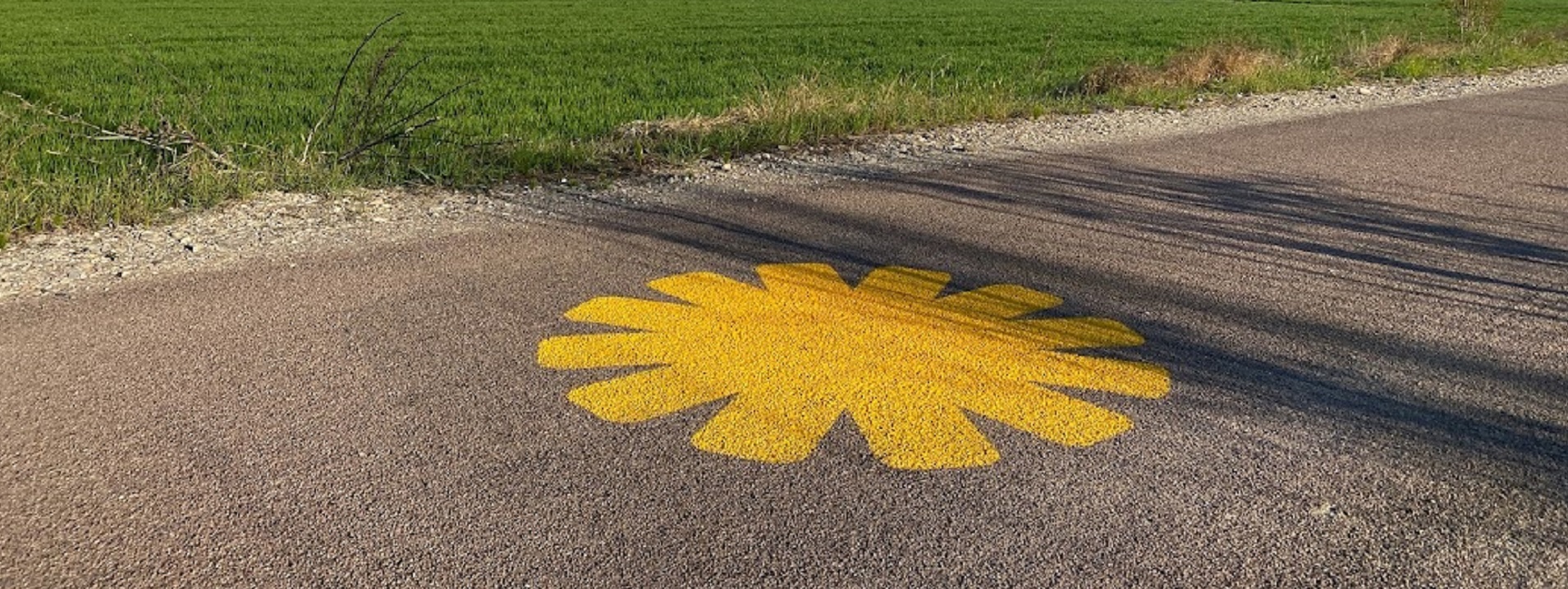 Compleanno Ciclovia del Sole