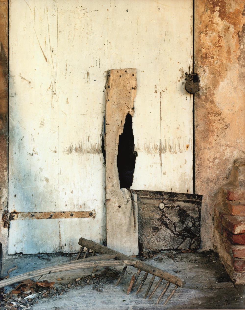 Guido Guidi Minerbio, 2023 C-print a contatto da negativo, 20x25 cm su carta politenata cm 24x30 Courtesy Viasaterna, Milano e MAMbo - Museo d'Arte Moderna di Bologna