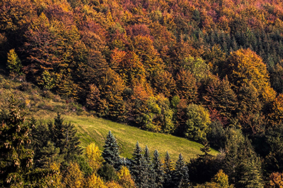 Appennino modenese