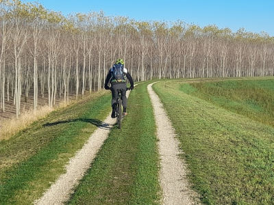 Pedalare e camminare nel territorio modenese